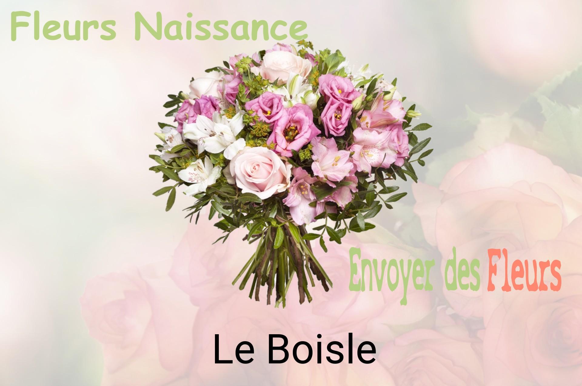 Bouquet de fleurs de naissance livré à Le Boisle